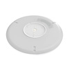 Inteligentna lampa sufitowa Yeelight Light C2201C300