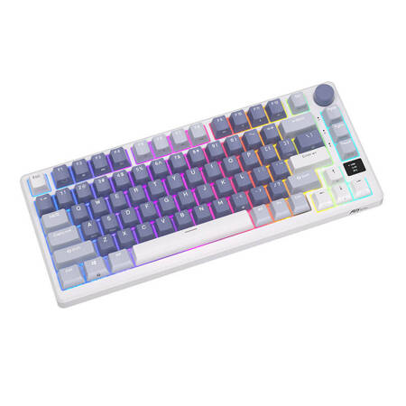 Bezprzewodowa klawiatura mechaniczna Royal Kludge RKM75 RGB, Silver switch (niebieska)