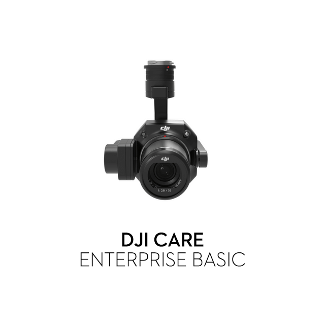 DJI Care Enterprise Basic Zenmuse P1 - kod elektroniczny