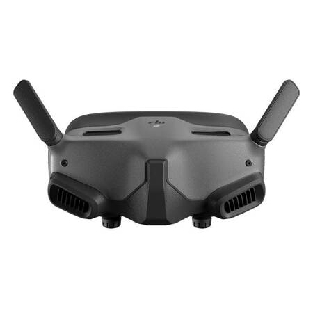 DJI FPV Goggles 2